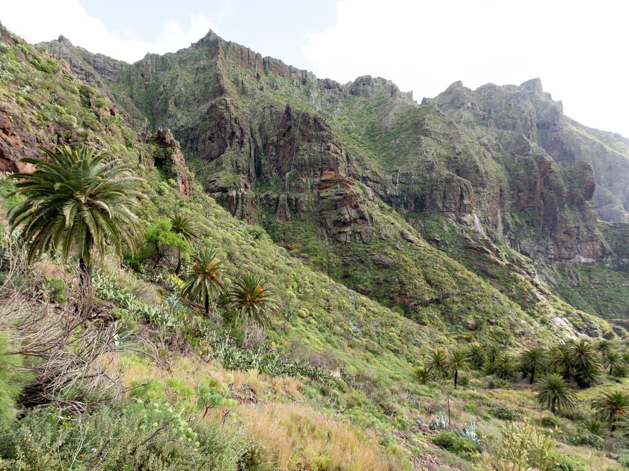 Live Masca Casatarucho Villa Buenavista Del Norte Luaran gambar